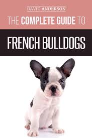 Buy the best and latest french bulldog accessories on banggood.com offer the quality french bulldog accessories on sale with worldwide free shipping. Buy The Complete Guide To French Bulldogs Everything You Need To Know To Bring Home Your First French Bulldog Puppy Book Online At Low Prices In India The Complete Guide To