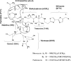 Image result for Bleomycin