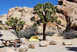 Homestead national historical park, a unit of the national park system known as the homestead national monument of america prior to 2021, commemorates passage of the homestead act of 1862, which allowed any qualified person to claim up to 160 acres. 9 Best Campgrounds In Joshua Tree National Park Camping Details Planetware