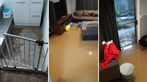 This entailed the removal of the damaged i would like to make particular comment on tim osborne on his workmanship and his attitude towards his work. Family Sheltered On Kitchen Bench Above Flood Water Northern Star