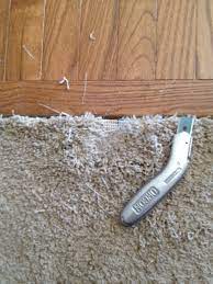 Greenwood Carpet Pet Damage Indianapolis Carpet Repair
