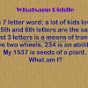 Puzzle solver & missing letters. 1