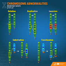 chromosome abnormalities fact sheet nhgri