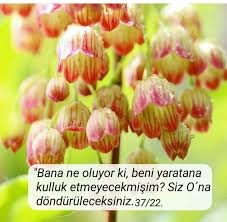 Birsen Zumrut Adli Kullanicinin Allah Panosundaki Pin Goruntuler Ile Guzel Soz