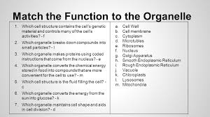 Test your understanding on the biology ii cell structure and functions by taking up the quiz below. Self Quiz Ppt Download