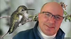 Birds of the Southwest