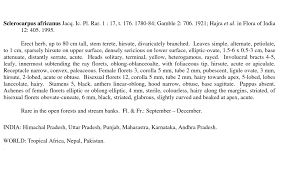 Image result for Sclerocarpus africanus