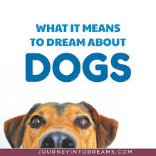 This refers to the will to be a father or mother. Dog And Puppy Dream Meaning Journey Into Dreams