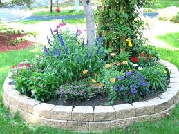 Image result for seeds garden ideas
