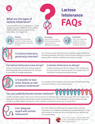 Image result for Lactase Deficiency