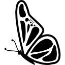 Free Free 342 Butterfly Svg Free Download SVG PNG EPS DXF File