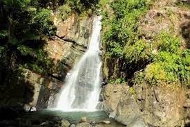 Over more than a decade of traveling mostly for the food, i've gathered hundreds of recommendations. El Yunque Rainforest With Nature Walk And Swimming 2021 San Juan