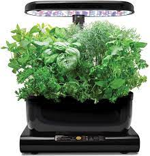 Aerogarden's seed starting trays allow you to start planting seeds indoors before moving the seedlings outside when the weather allows. Miracle Gro Aerogarden Harvest Mit Dem Gourmet Krauter Samenkit Schwarz Amazon De Garten