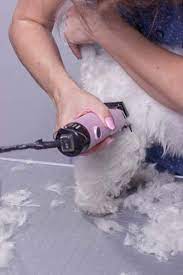 How To Use Clippers To Trim Your Dog S Hair Dog Grooming Styles Dog Haircuts Dog Grooming Diy