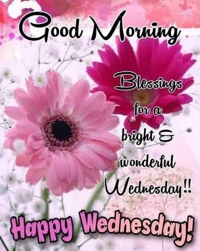 Diane Forbes | Happy Wednesday ❤️ Wishing everyone a ...
