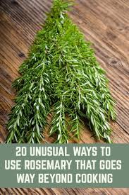 20 Unusual Ways To Use Rosemary That Goes Way Beyond Cooking How To Dry Rosemary Rosemary Plant Herbs