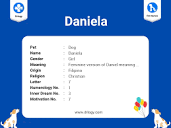 Daniela Dog Name Meaning & Info - Drlogy