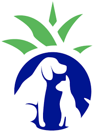 Vybe offers a wide range of urgent care services across our 10+ urgent care locations in the philadelphia area. Veterinarian In Aiea Hi Local Vet Trusted Animal Hospital