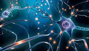 Multiple Sclerosis doesn't stop in a pandemic – POLITICO
