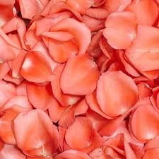 Average rating:0out of5stars, based on0reviews. Amazon Com Globalrose 5000 Fresh Orange Rose Petals Real Petals With Fast Delivery Perfect For Valentine S Day Artificial Flowers Grocery Gourmet Food