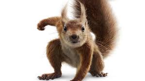 Danny pudi flora & ulysses veers close to falling into the trap of cheesiness that kids' movies of this genre often. Flora And Ulysses Face Grim Danger In New Official Adaptation Trailer Check Out Designer Women