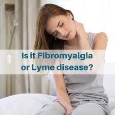Lyme Sci Is It Fibromyalgia Or Lyme Disease
