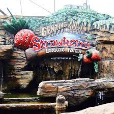 Find out the contacts, opening hours, reviews and suggested visit duration. Genting Strawberry Leisure Farms Home Facebook