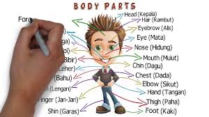 This is, hercai (broken heart). Learn Body Parts Learn English English For Kids Boys Girls Preschool Kindergarten Youtube