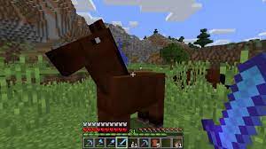 Do Horses Drop Items When Killed Minecraft Youtube