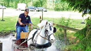 Mensch und Tier zeigten ihr Geschick
