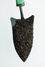 This good drainage and nutrients enriched potting mix is highly recommended for the fiddle leaf fig plant. Premium Fiddle Leaf Fig Potting Soil Monstera Plant Resource