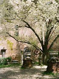 Why The Elizabeth Street Garden In Downtown Nyc Needs To Be Saved Thrillist Bradford Pear Tree Elizabeth Street Arbour Day