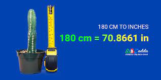 180 CM To Inches | How Many Inches Is 180cm Centimeters To Inches | ABCADDA