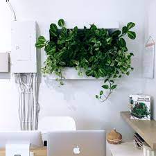 We have everything you are looking for! Stunning Living Wall Ideas For Any Room