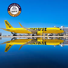 Image result for Natural Yellow 2000 Fleet