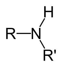 Review The Functional Groups In Organic Chemistry Functional Group Chemistry Organic Chemistry