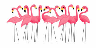 Flamingo Clipart Pink Flamingo - Transparent Background Flamingo ...