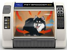 Why does a pet brooder need an oxygen connection? Curadle R Com Pet Brooder Mxb60n 2 Year Warranty Buy Online In Bulgaria At Bulgaria Desertcart Com Productid 95597362