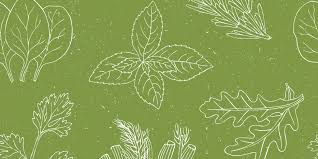 We hebben allemaal weleens last. Is Venkel Gezond Fitchef Nl