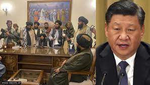 China's government said on monday it hoped the taliban would fulfil its commitment to ensure a smooth transition and curb all kinds of terrorism in afghanistan following its rapid. 07p8v1wh9gknym