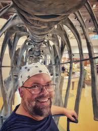 Sauropod Vertebra Picture of the Week