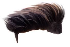 Pin On Hair Png