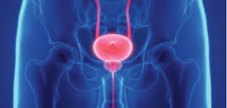 The majority of men with being diagnosed with prostate cancer can be a confronting and upsetting experience, but there are treatment options. Men S Health Archives Health Guide Hub