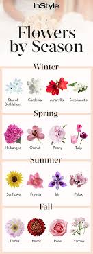 Cool Flowers For Fall Weddings In Season Wedding Ideas