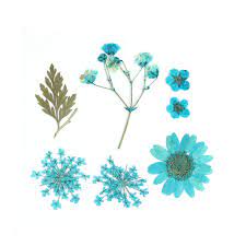 Learn how to press flowers at home with the help of an expert in this handy guide. Assortment Of Dried And Pressed Flowers On Board For Diy Creation Blue X1 Perles Co
