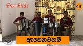 Baila wendesiya aran awa warella. Baila Wendesiya Aran Awa Calypso Youtube