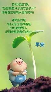 pin by minnie lin on 早安 cute cards cute cards