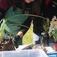 WORKSHOP - Dividing my Cymbidium event image