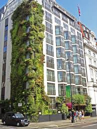 Athenaeum Hotel London Vertical Garden Patrick Blanc I Hotel Zoldhomlokzat Vertical Garden Vertical Green Wall Green Facade