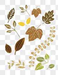 Download free premium after effects templates direct download links , browse our free collection and enjoy the free template , ae, adobe premiere effects , plugins , add ons all free to download. Withered And Yellow Png Images With Transparent Background Free Download On Lovepik Com